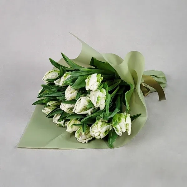 White tulips bouquet (15 ც.)