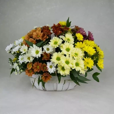 Chrysanthemum in the basket