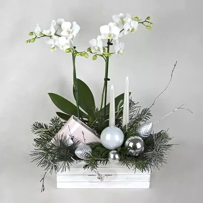 Новогодняя композиция с белой орхидеей и шоколадом