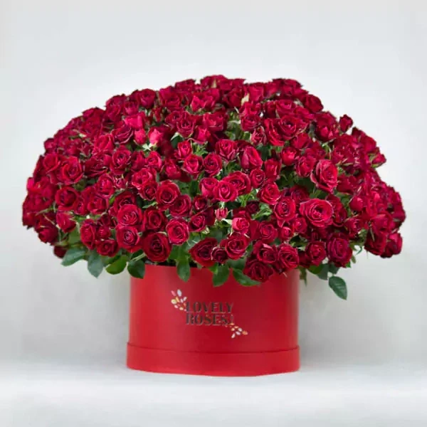 Composition of 100 red spray roses