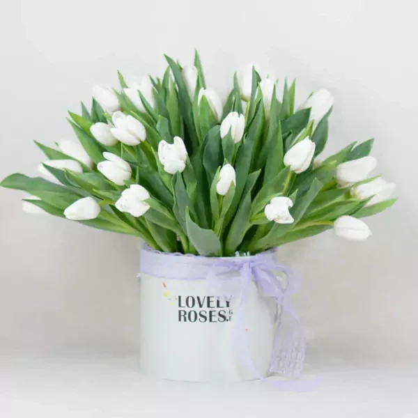 Delicate composition of 35 white tulips