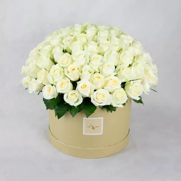 Cream roses in round box (100 pcs)