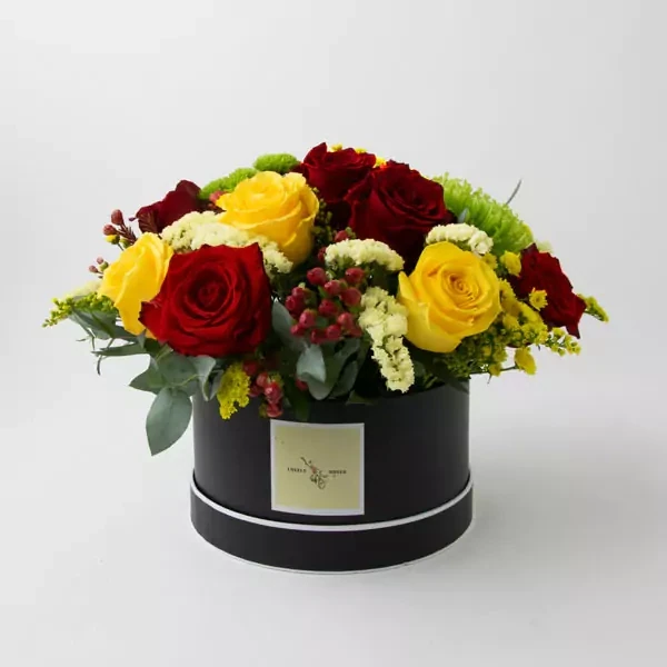 Composition in a box in red, yellow, and green