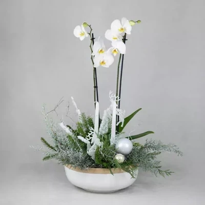Новогодняя композиция с орхидеей