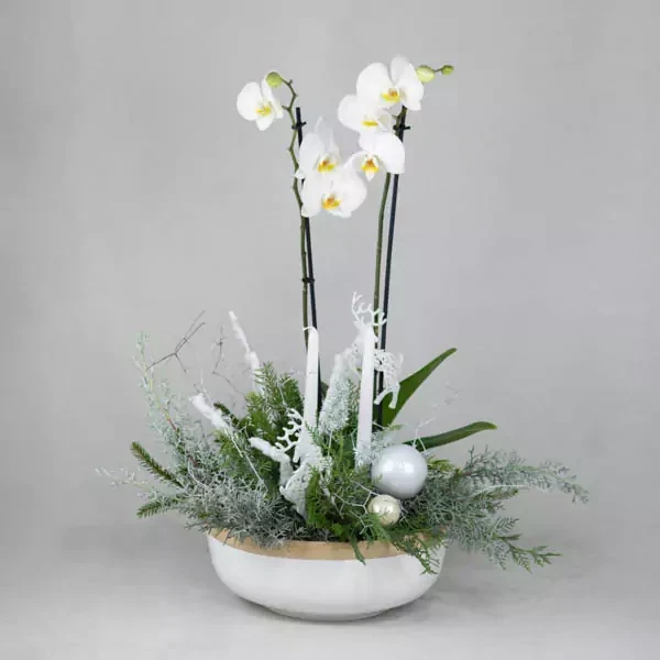 New year composition with orchid