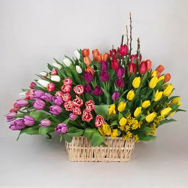 Basket with 100 tulips