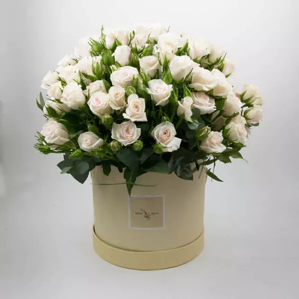 В данной композиции использованы 23 кустовые розы, выполненные в круглой коробке