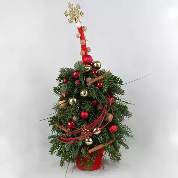 Small christmas tree (70cm)