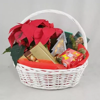 Корзина красным рождественским цветком и шоколадами