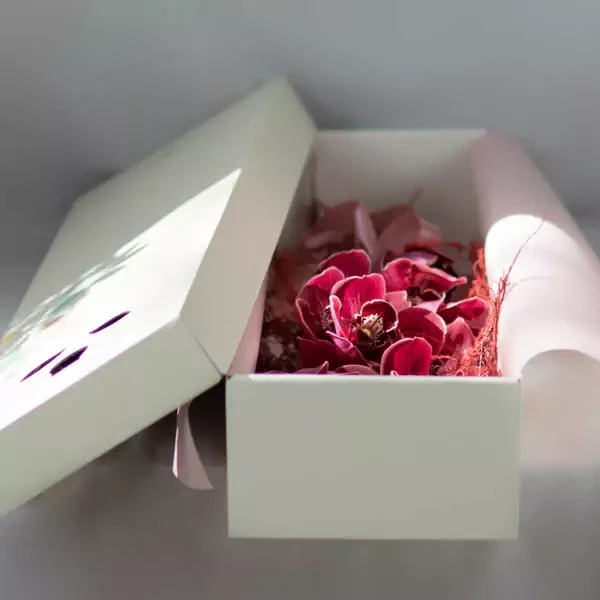 Orchidea in a long box