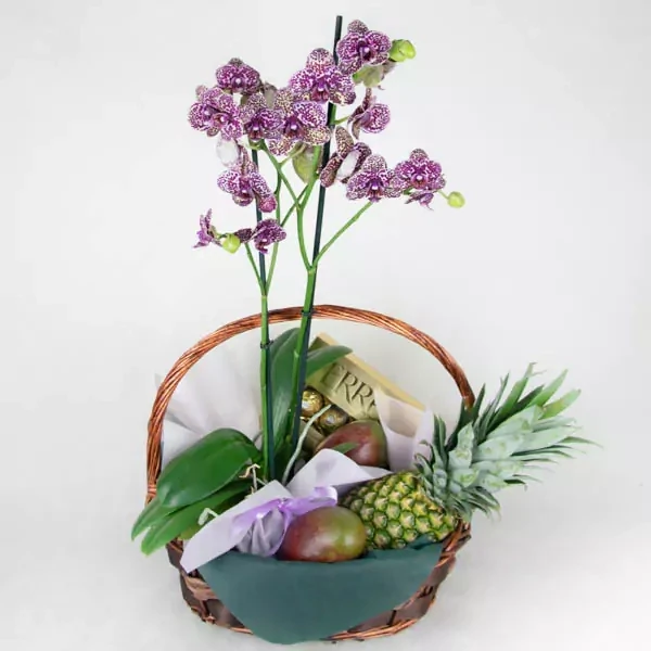 Composition with orchid, ferrero and fruit