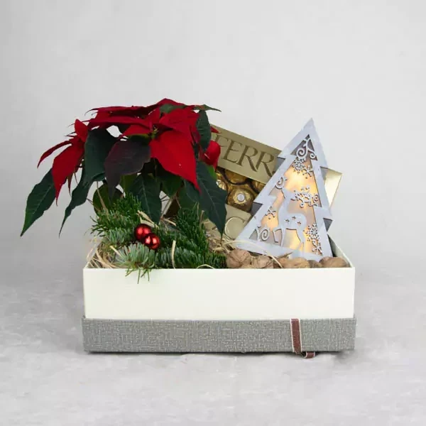 Box with a red colored puancettia and xmas tree