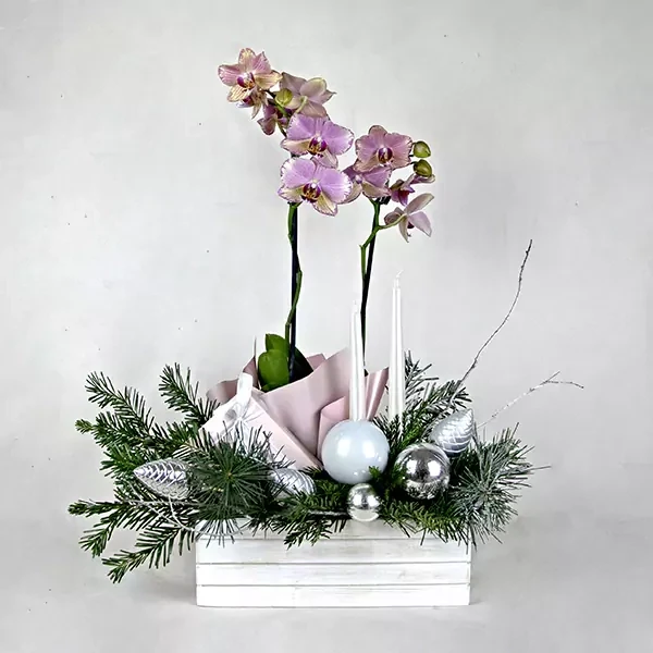 New Year's composition with orchid and handmade chocolate