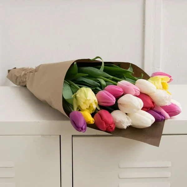 Tulips multicolored (select from 19 to 51)