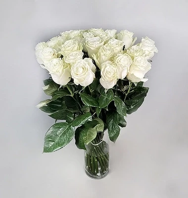 Tall White Rose