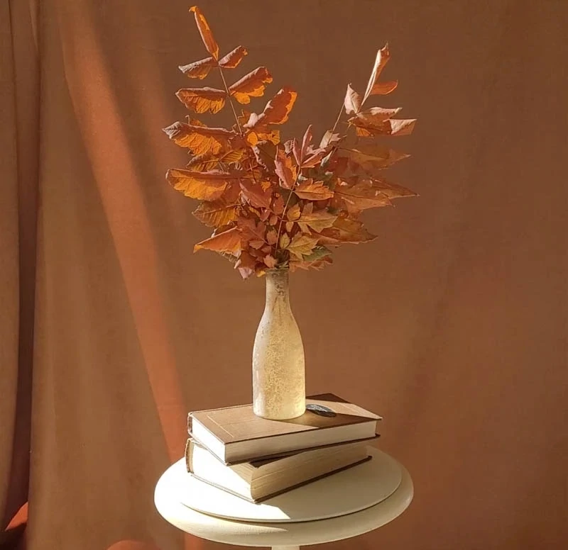 Compositions with dry components