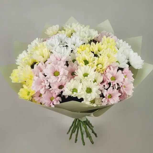 A bouquet of colorful chrysanthemums