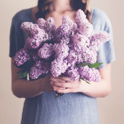 When does the lilac blossom in Tbilisi?