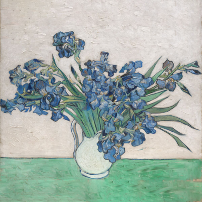 Interesting facts about irises