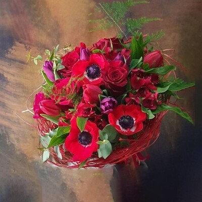 Anemones - a mystery of nature