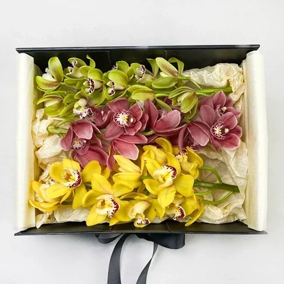 Orchids in a box