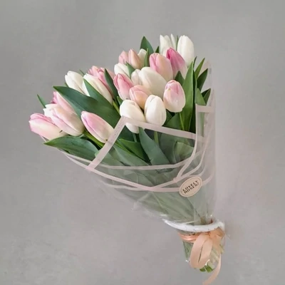 Tulips pink (25 pc.)