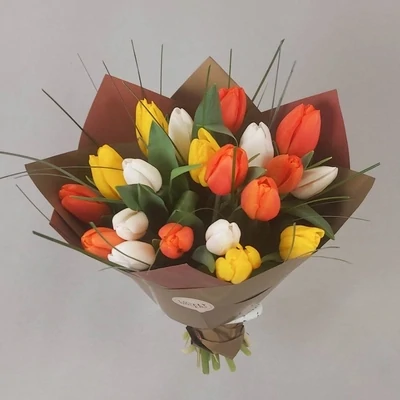 Tulips multicolored
