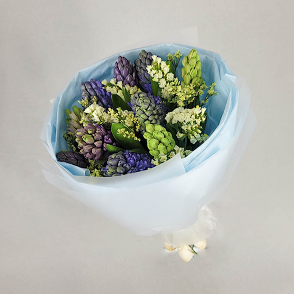 Fragrant hyacinths
