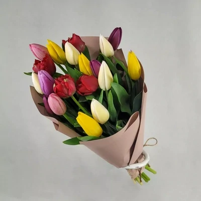 Тюльпаны разноцветные (19 штук)
