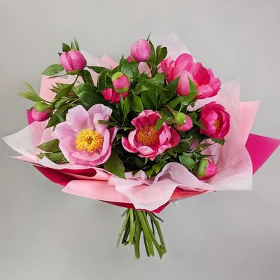 Bouquet of pink peonies (10 pcs)