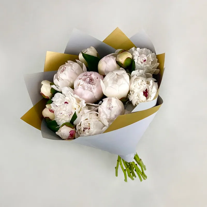 Peonies - white