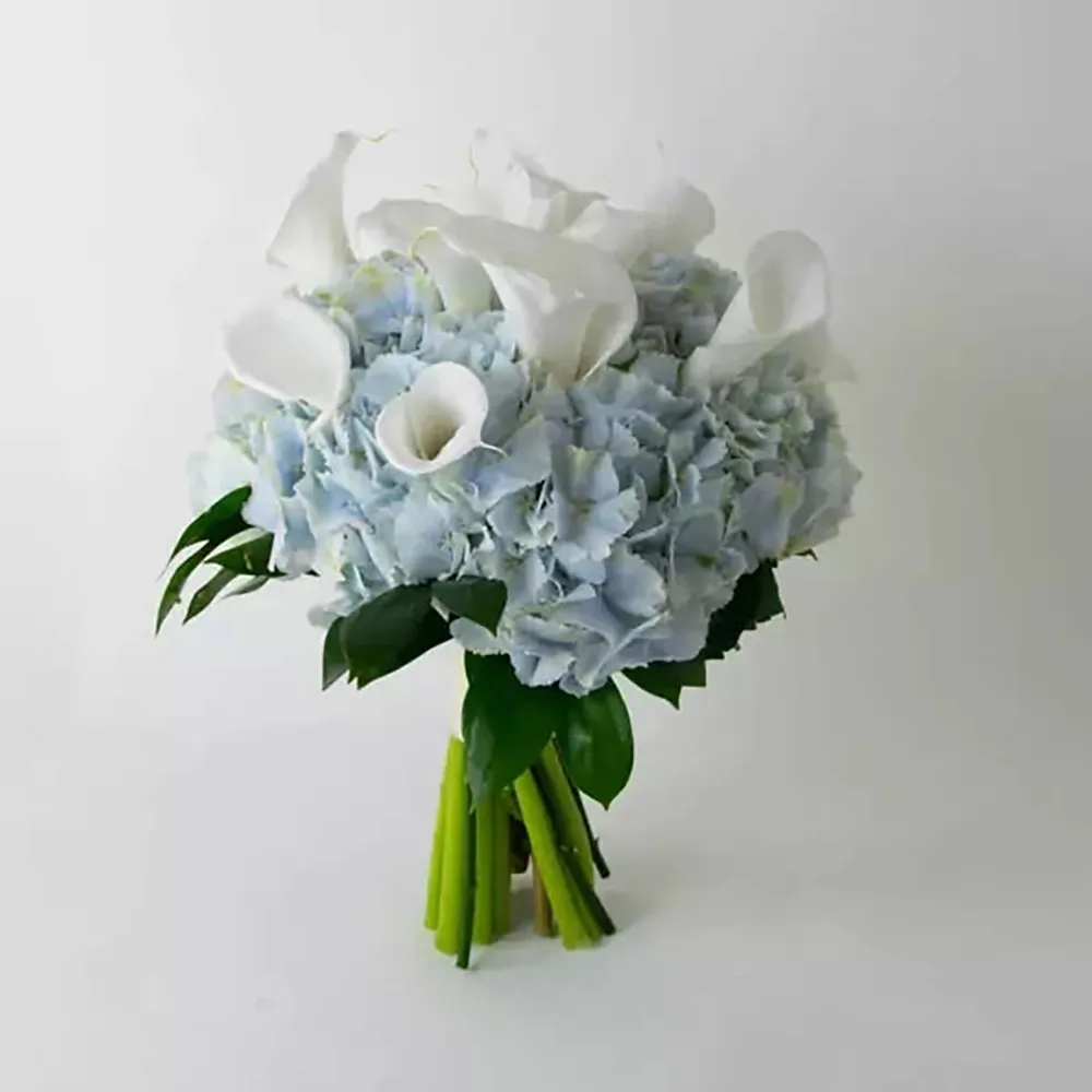 Blue hydrangea and white calla lilies are used in the wedding bouquet