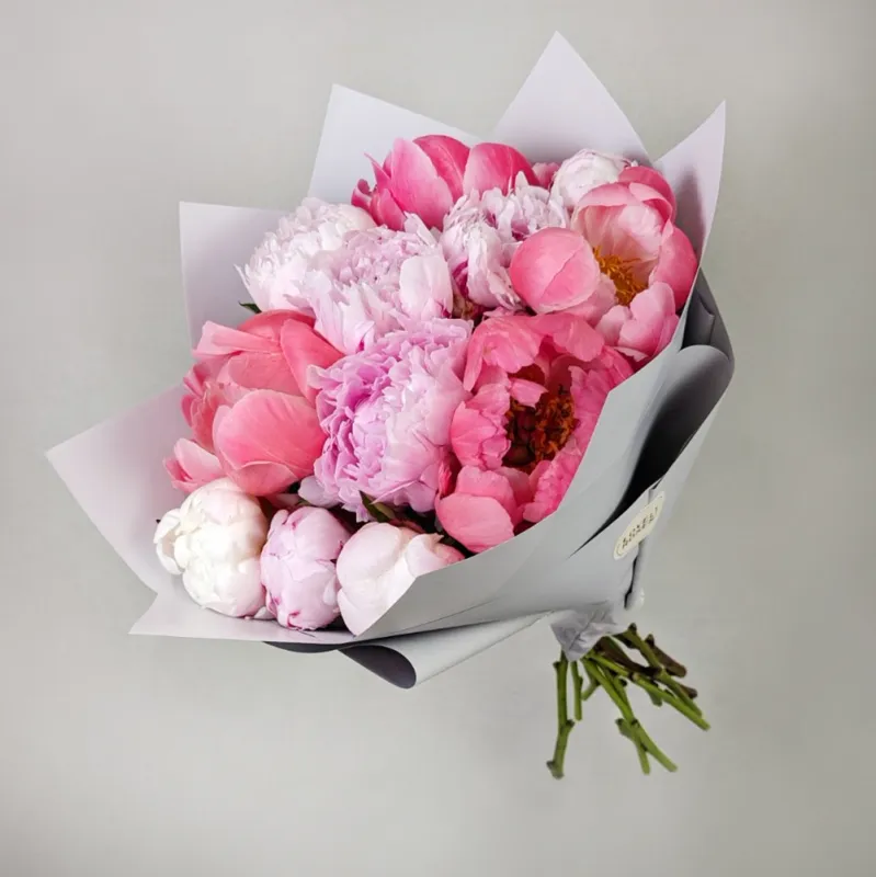 Peonies in pink colors (14pcs)