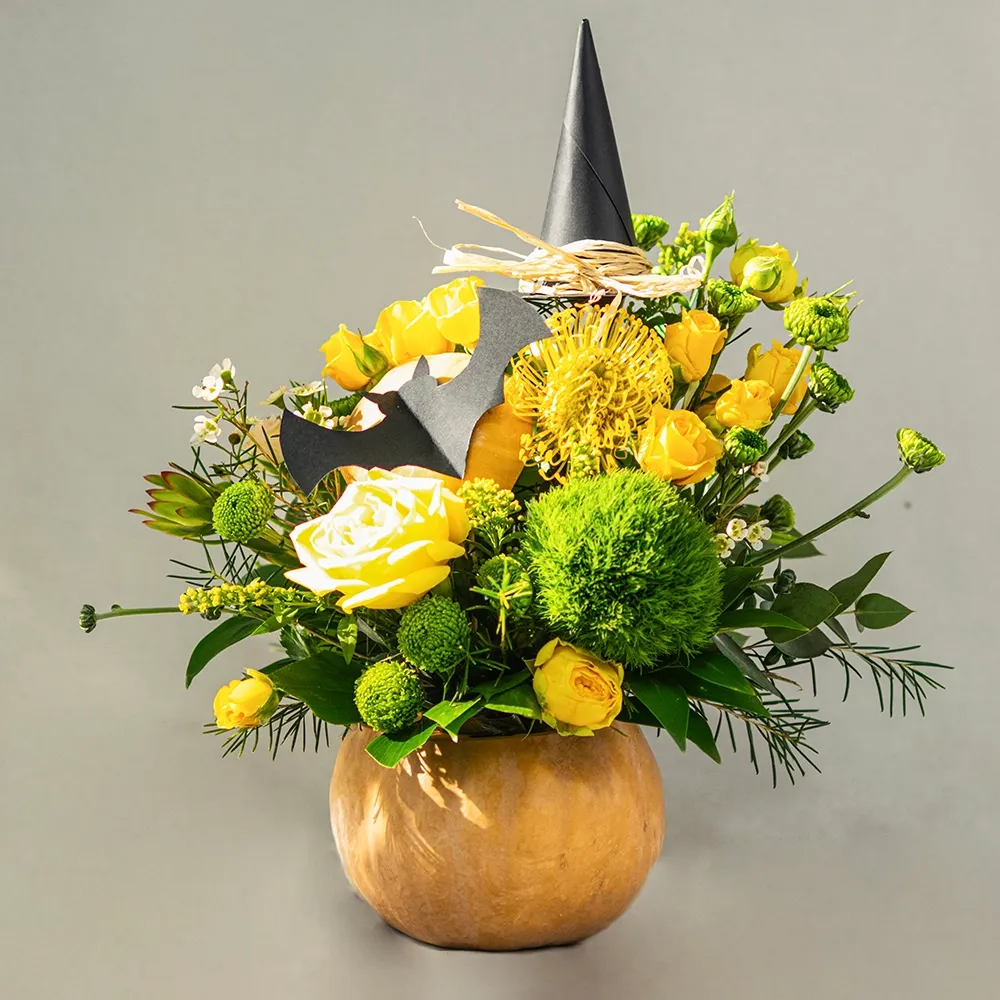 Arrangement in a squash B6