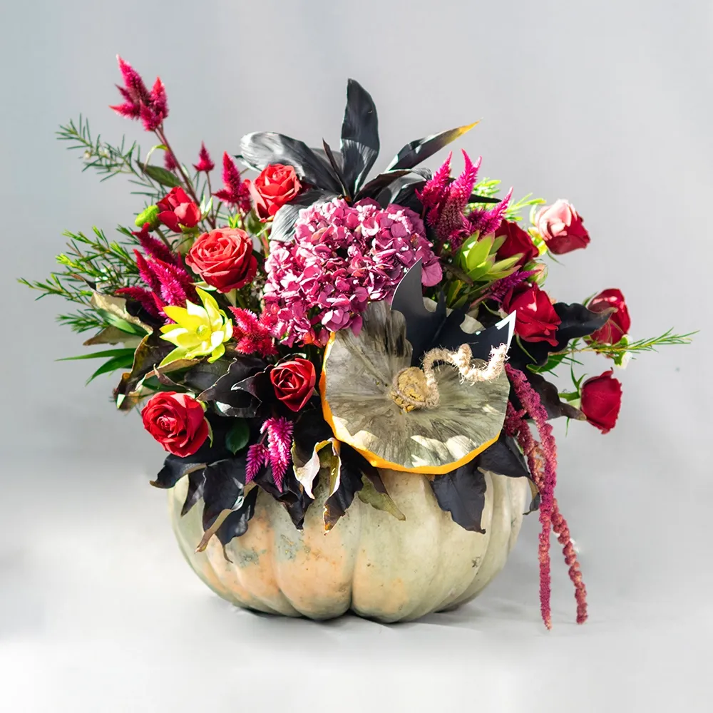 Arrangement in Squash B5