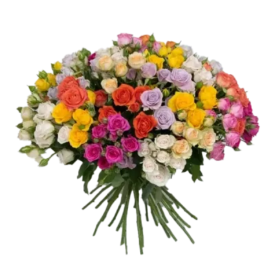 Spray Roses