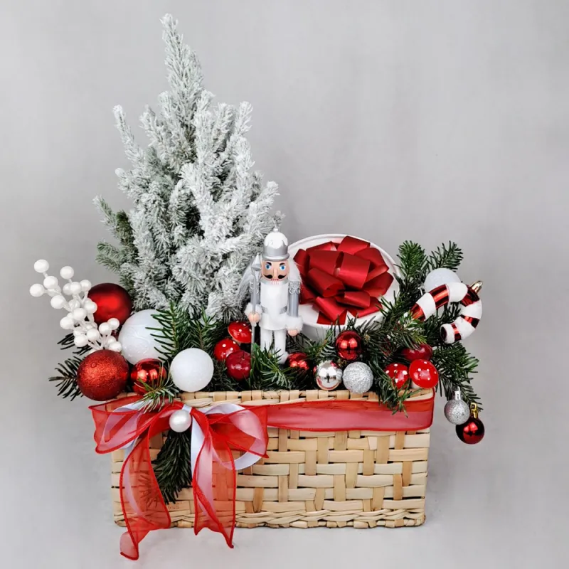 Christmas tree plant with Raffaello