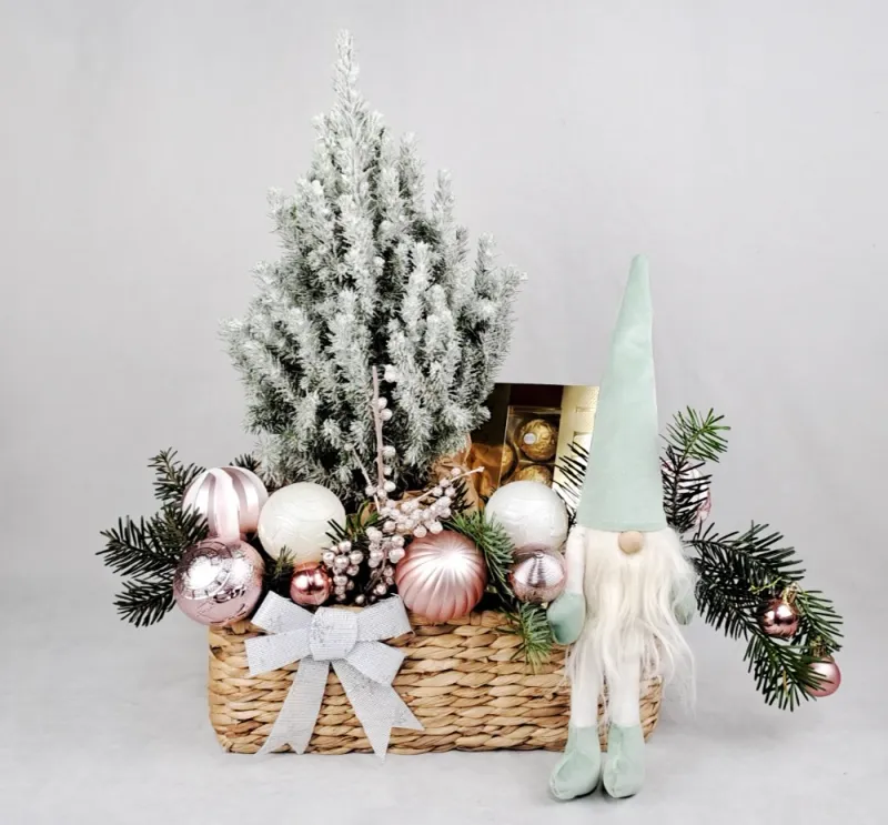 Christmas tree plant with Ferrero