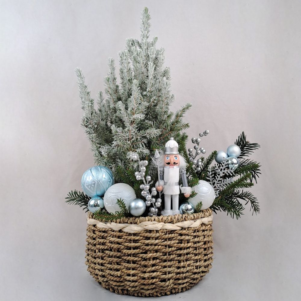 Gift basket with a live Christmas tree.