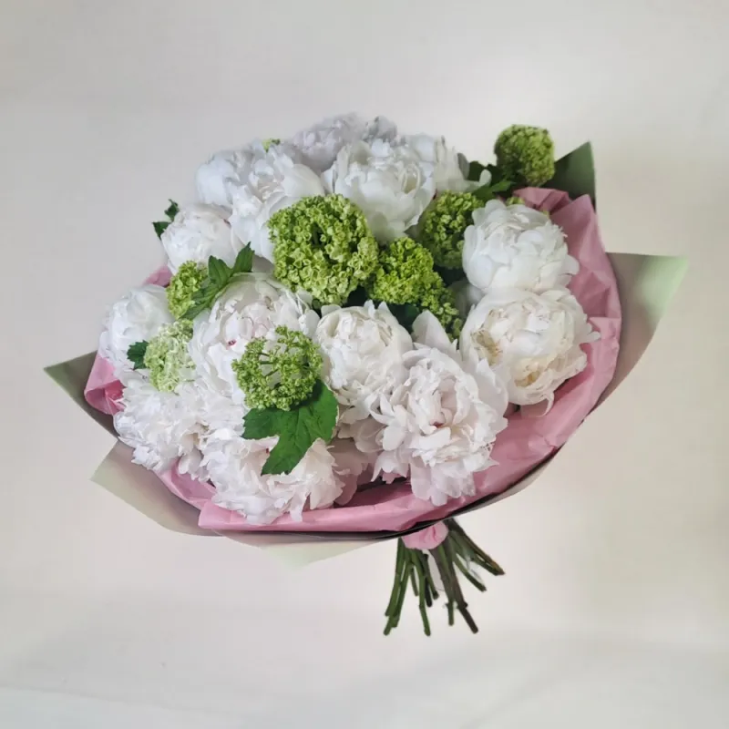 Peonies - white