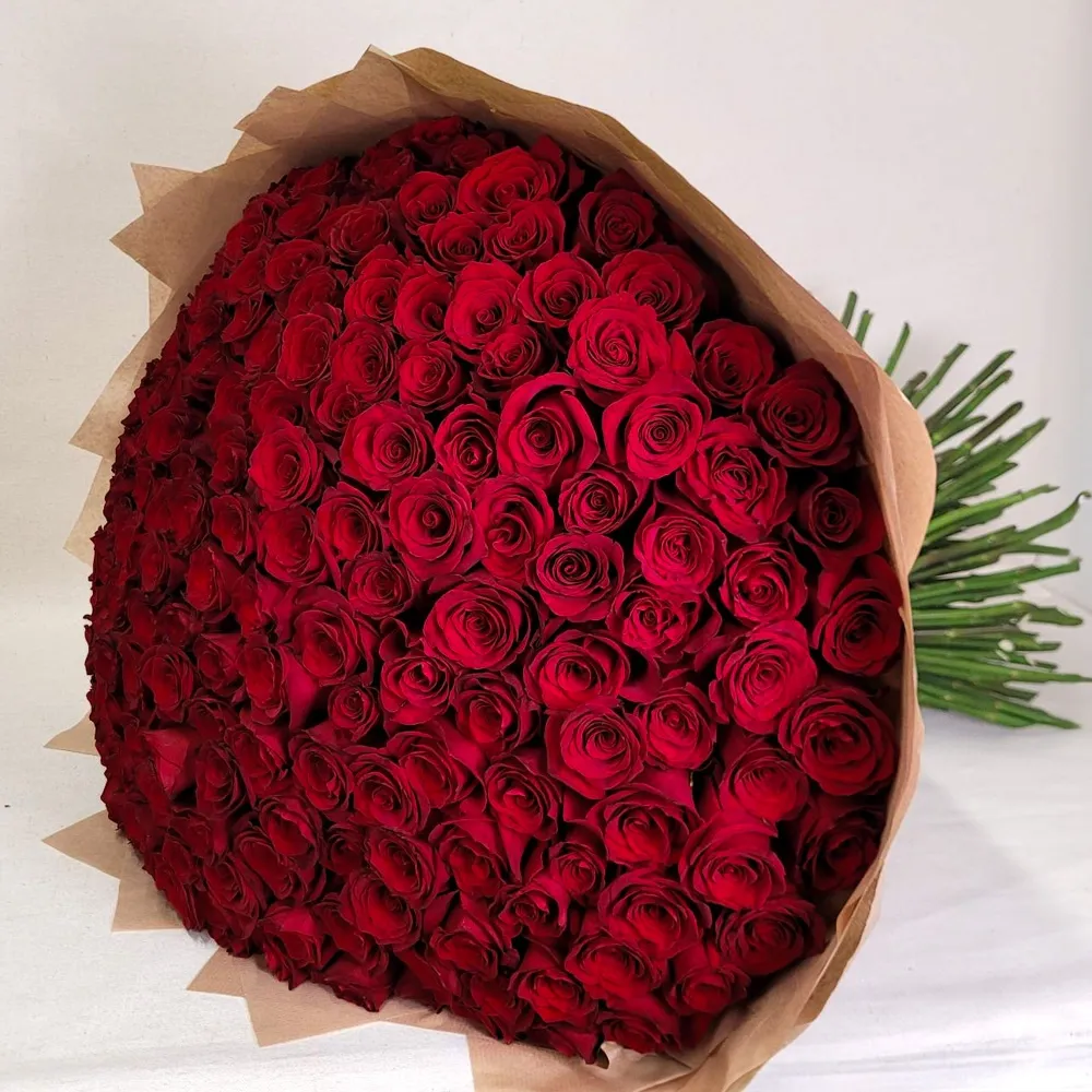 200 red roses test