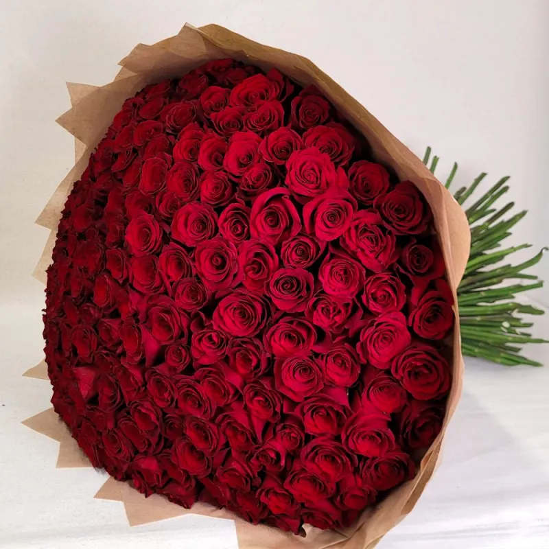 200 red roses test