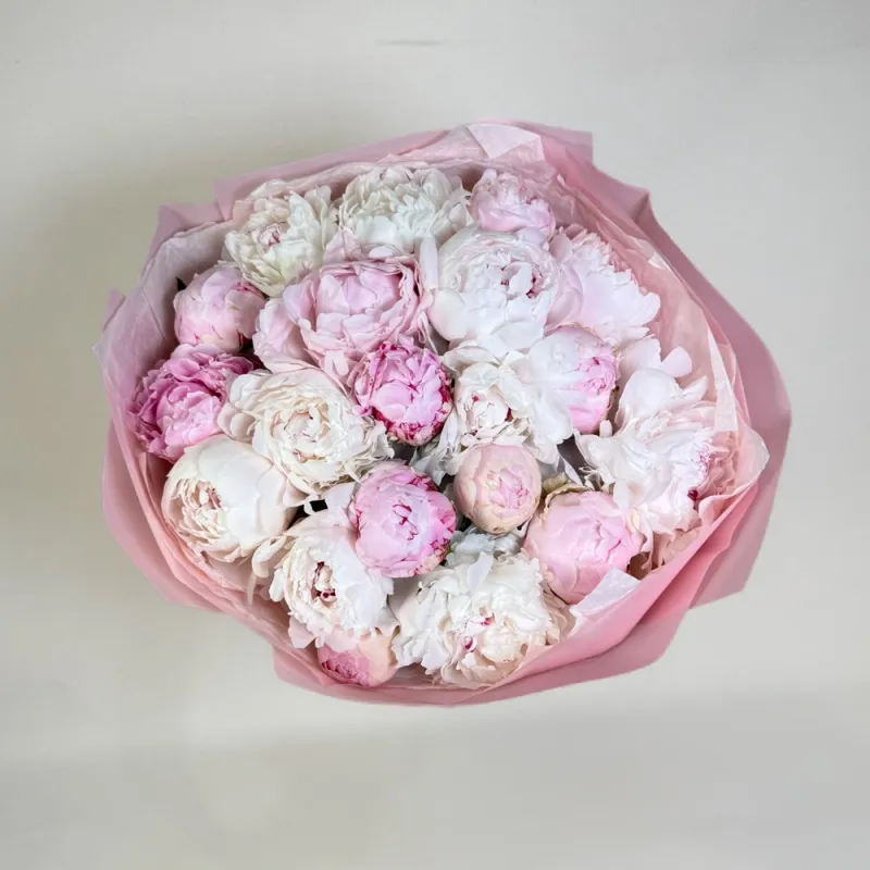 Peonies in pink colors (22)