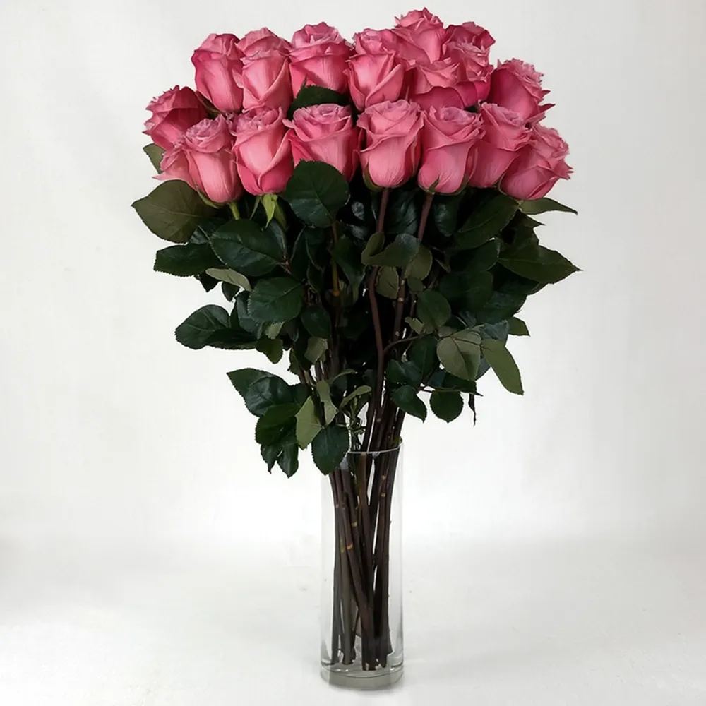 Tall Pink Rose (from 8 to 301)