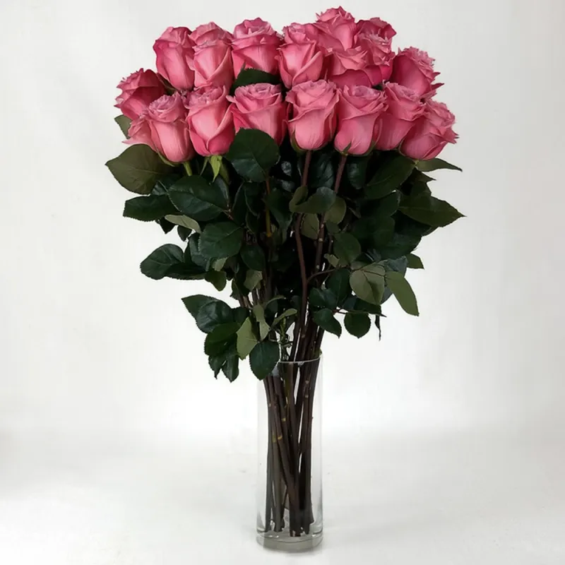 Tall Pink Rose (from 8 to 301)