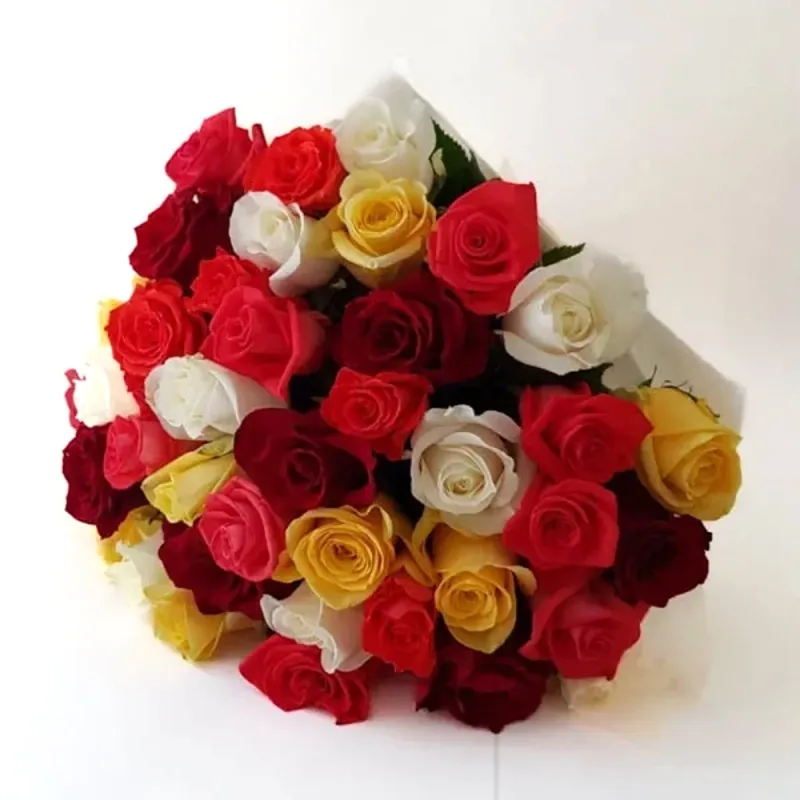 Roses - multicolored (35 pc.)