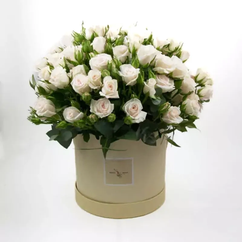 White spray roses in a round box