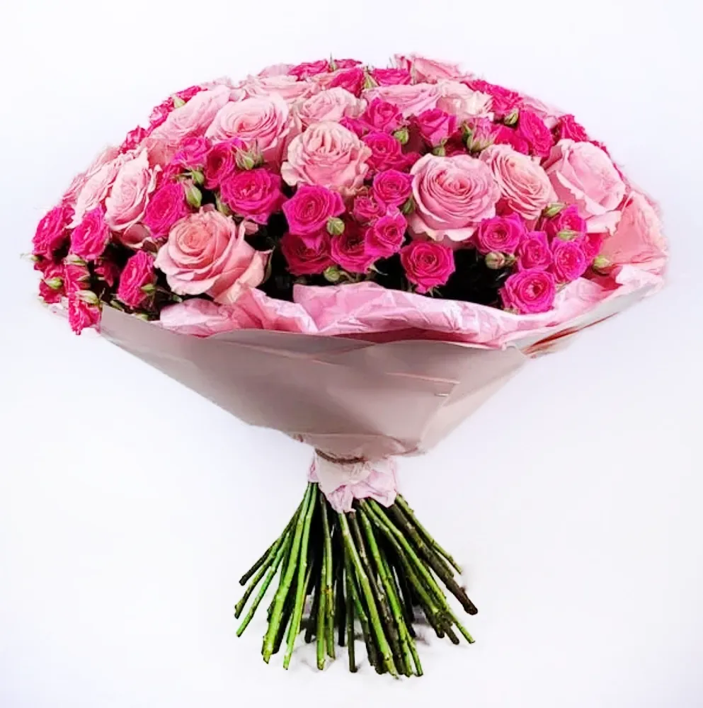 Big pink bouquet of roses (73 roses)