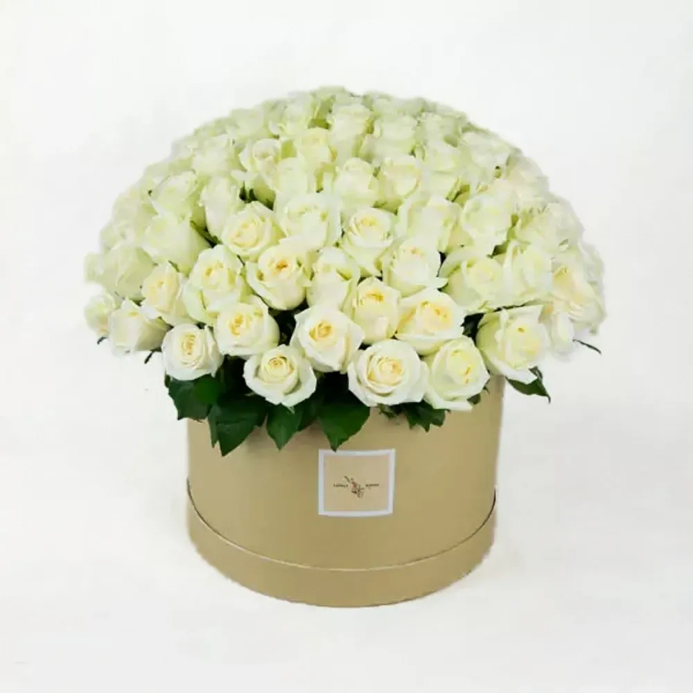 Cream roses in round box (100 pcs)