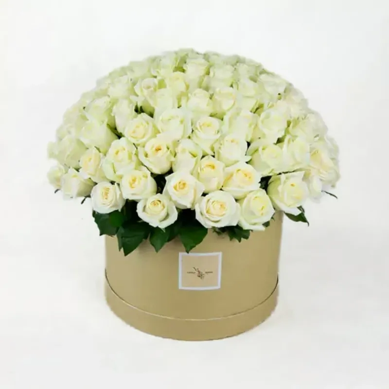 Cream roses in round box (100 pcs)